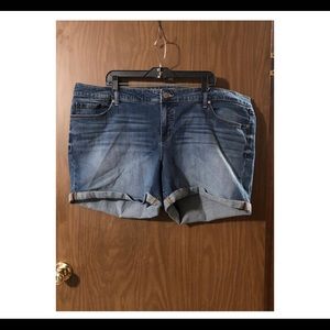 Medium Wash Jean Shorts with Rolled Hem